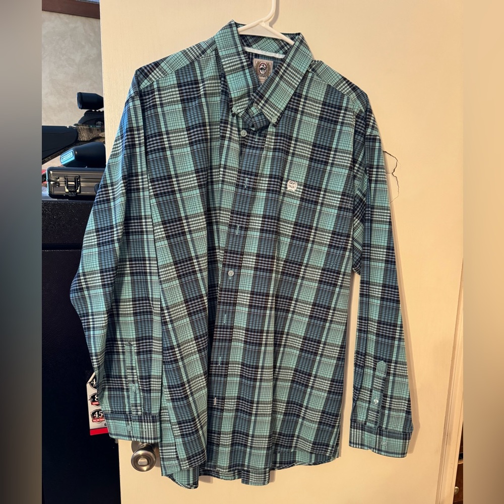 Cinch button down